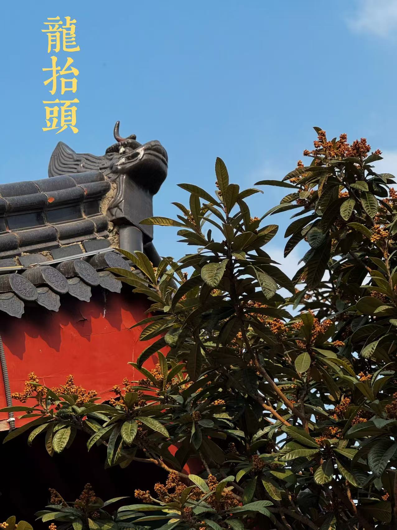 微信图片_20250301162111.jpg