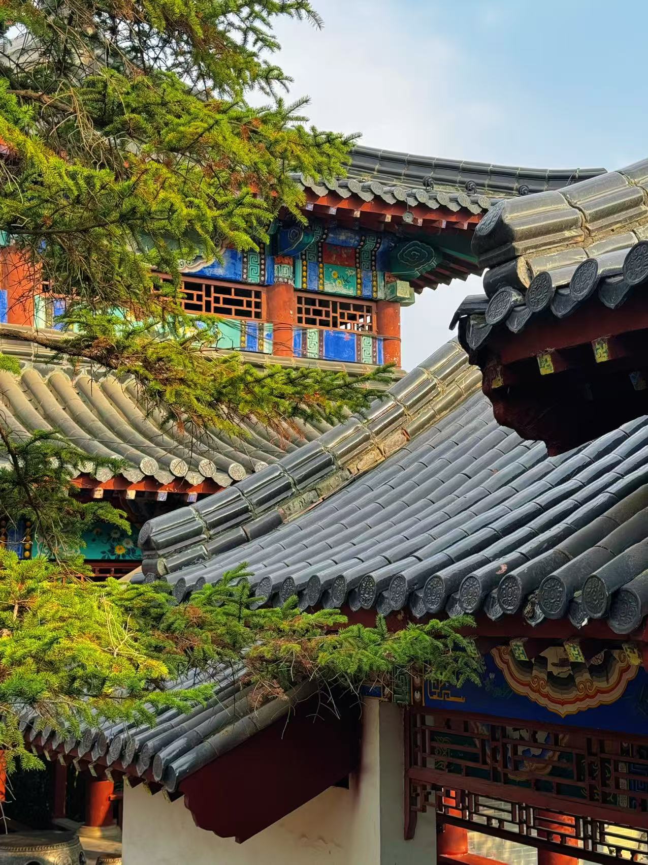 微信图片_20250301162134.jpg