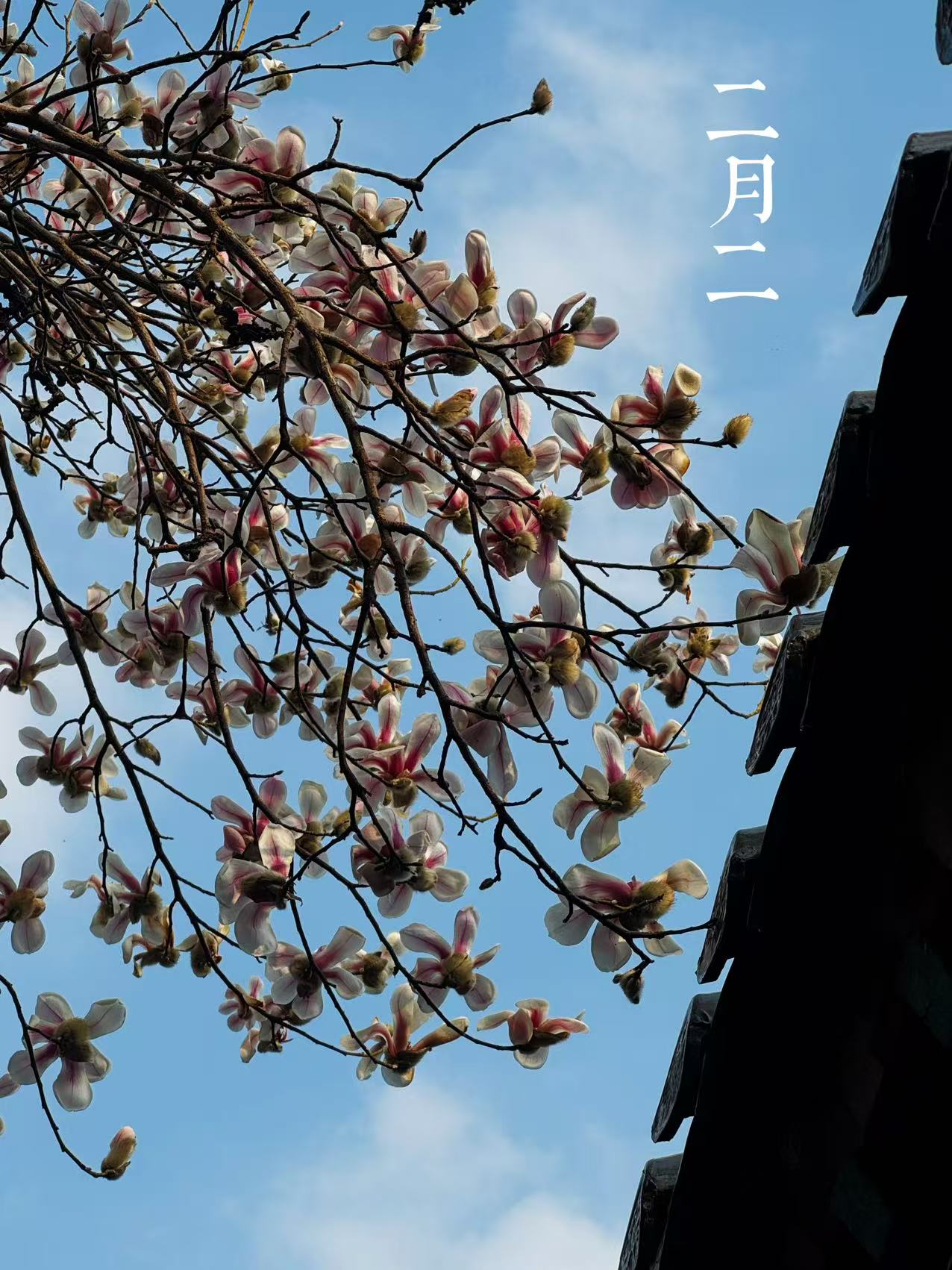 微信图片_20250301162122.jpg