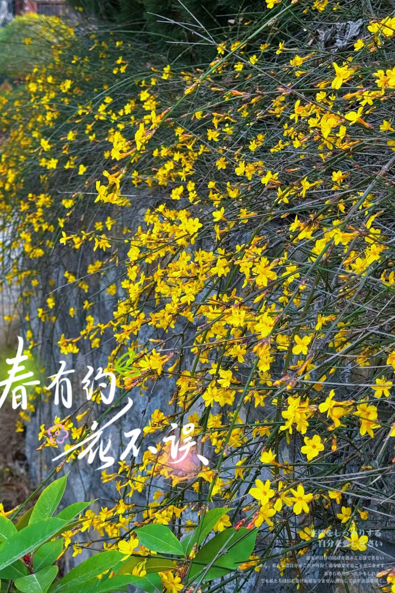 微信图片_20250301162130.jpg