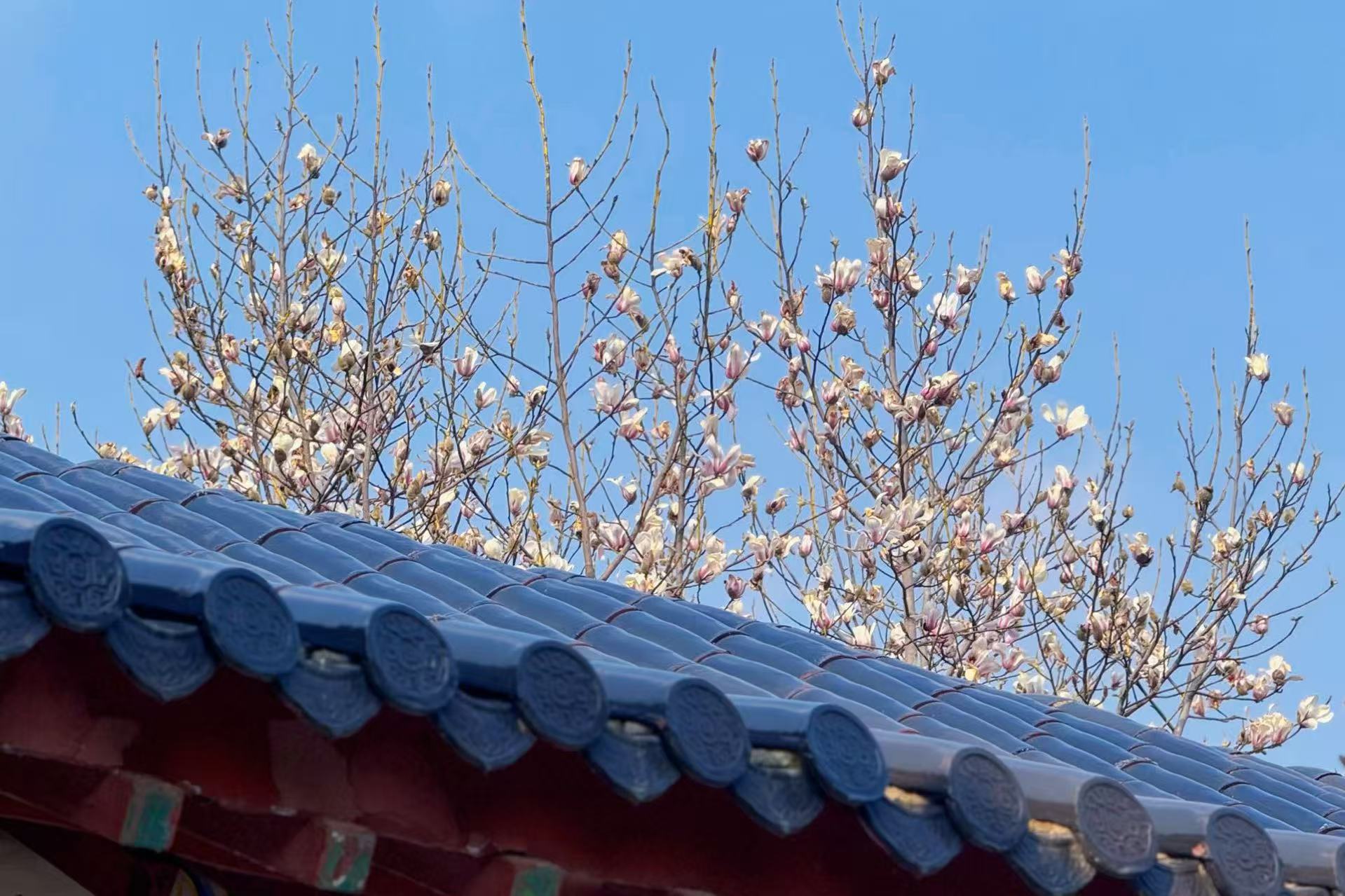 微信图片_20250307102122.jpg