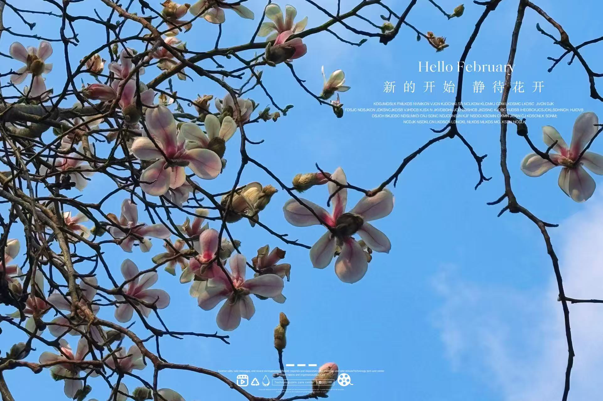 微信图片_20250307102135.jpg