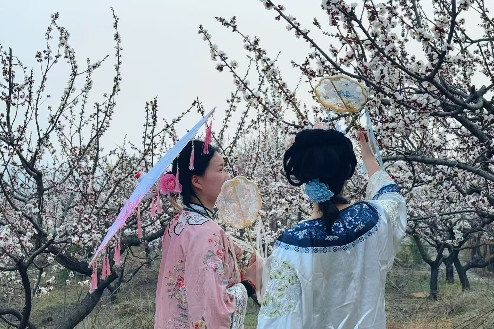 微信图片_20250317140143.jpg