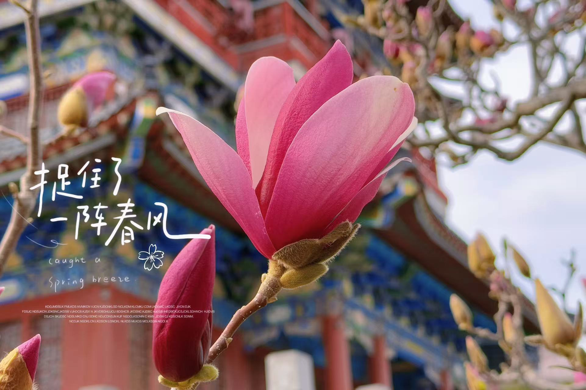 微信图片_20250317135539.jpg